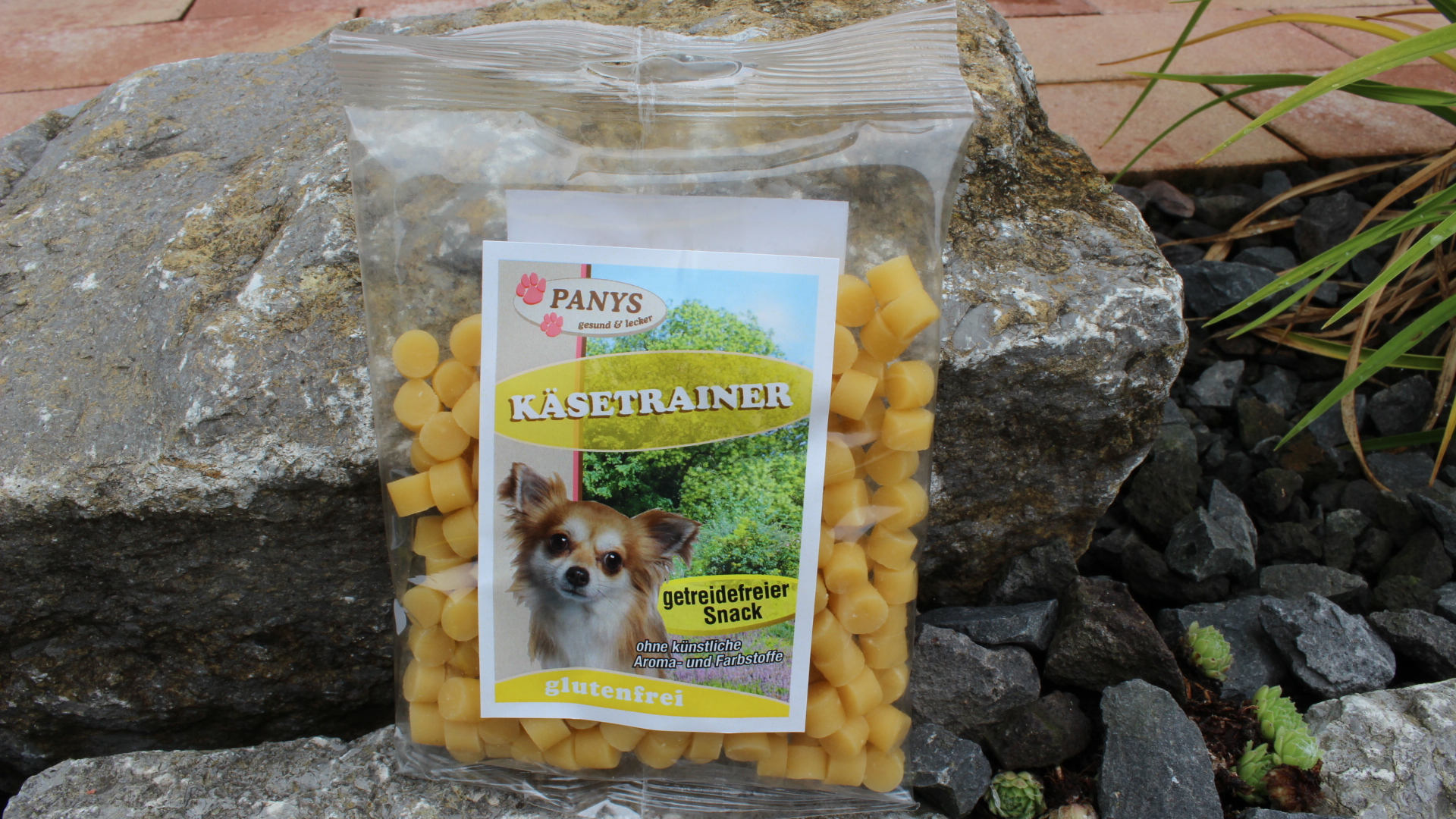Käsetrainer 